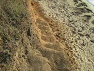 Володимирівка з panoramio.com