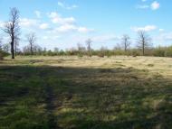 Назавизів з panoramio.com