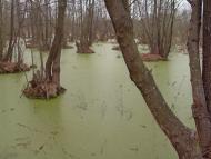 Правобережна Сокілка з panoramio.com