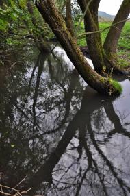 Підмонастир з panoramio.com