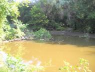 Геївка з panoramio.com