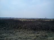 Арламівська Воля з panoramio.com