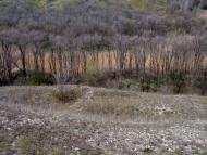 Веселянка з panoramio.com