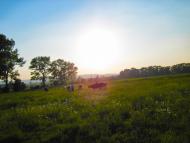 Любинці з panoramio.com