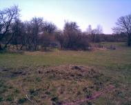 Кустолові Кущі з panoramio.com