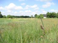 Мелені з panoramio.com