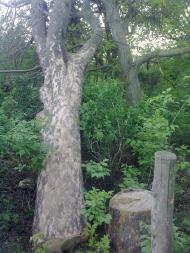 Піски з panoramio.com