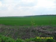 Вільне з panoramio.com