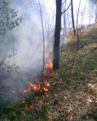 Старий Добротвір з panoramio.com