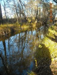 Пришиб з panoramio.com