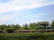 Кунин з panoramio.com