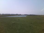 Степанівка з panoramio.com