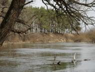 Копилля з panoramio.com