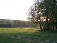 Лозова з panoramio.com