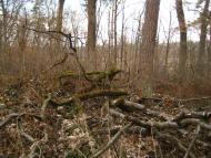 Кротошин з panoramio.com