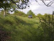 Трихати з panoramio.com