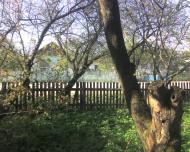 Прикордонна Улашанівка з panoramio.com