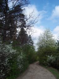 Вишняки з panoramio.com - Вишняки