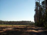 Вишняки з panoramio.com - Вишняки