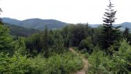 Букове з panoramio.com - Букове