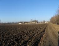 Меліоративне з panoramio.com - Мелиоративное