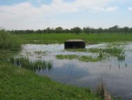 Любитів з panoramio.com