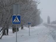 Дачне з panoramio.com