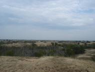 Подо-Калинівка з panoramio.com