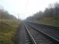 Рідкодуби з panoramio.com