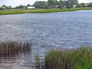 Тростянець з panoramio.com