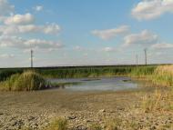 Піщанка з panoramio.com - Песчанка