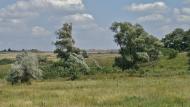 Вільхівка з panoramio.com - Вольховка