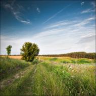 Гулі з panoramio.com