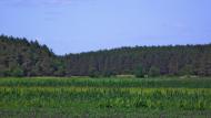 Чехівка з panoramio.com - Чеховка