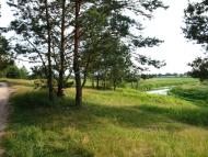 Шами з panoramio.com