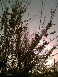 Дзержинське з panoramio.com