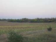 Петровеньки з panoramio.com - Петровеньки