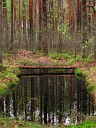 Гута-Ткачова з panoramio.com