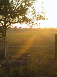 Вакулівка з panoramio.com