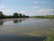 Трубіївка з panoramio.com