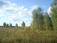 Зірка з panoramio.com