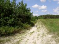 Остроушки з panoramio.com