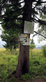 Букове з panoramio.com