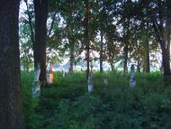 Корсів з panoramio.com