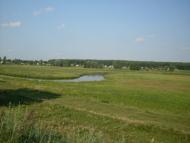 Куна з panoramio.com