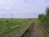 Великі Коровинці з panoramio.com