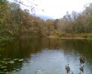 Камінь з panoramio.com - Камінь