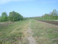 Шевченка з panoramio.com