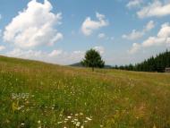 Прокурава з panoramio.com