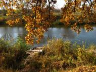 Вільне з panoramio.com